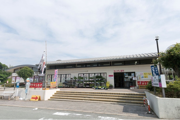 「あんずの里市」のすぐそばには公園やバイキングレストランもあるので、家族連れでも行きやすい