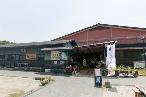 「とと市場」では、直売所で買った商品はすべてBBQコーナーに持ち込みOK！ほかにも魚介類はもちろん、総菜や弁当類も充実している 