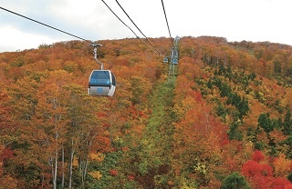 秋田・森吉山のゴンドラで紅葉絶景の空中散歩を