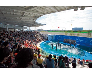 東北最大級のショーは必見！「仙台うみの杜水族館」