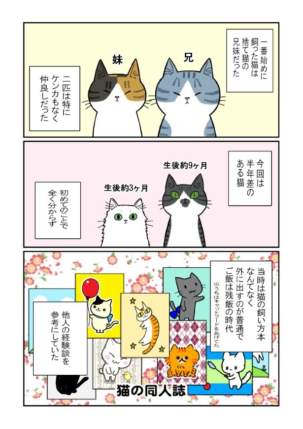 昔飼ってた猫_第3話「うちらの失敗談」P001