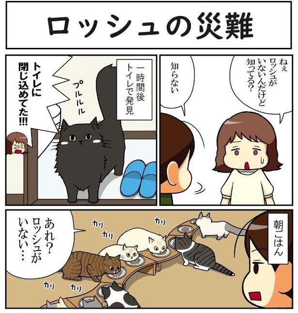 ロッシュの災難_01