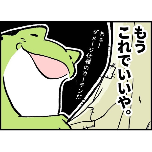 柴犬と暮らすわが家のカーテンの成長記録007