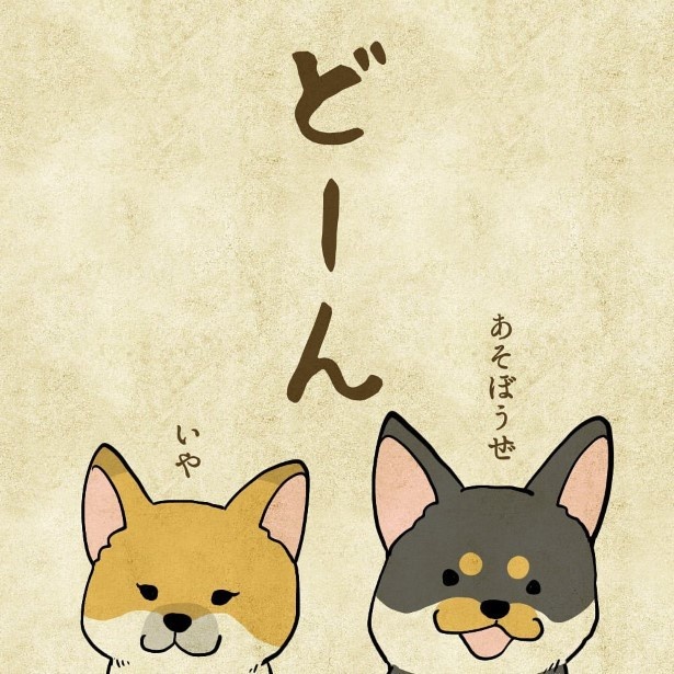 家族が増えました004