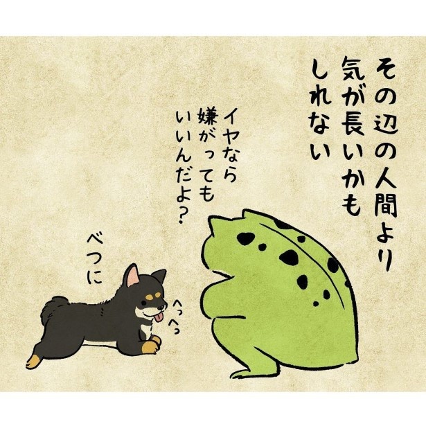 1歳なのにベテラン柴の落ち着きを見せつける犬_7