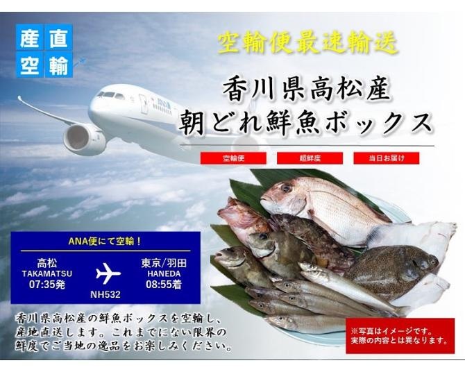 “産地直送を超える”？全国の空港から最速24時間で採れたての食材を届ける「きょう着く空便」で感動体験