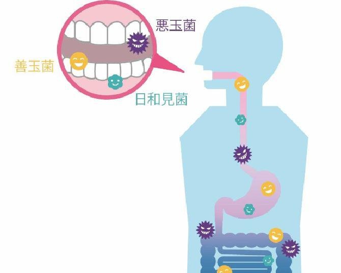 口内の菌が“美肌作り”に影響する可能性あり!?多くの人が知らない落とし穴とは