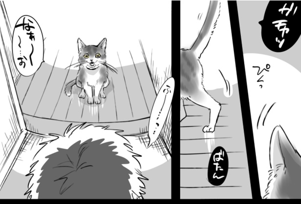 飼い主が帰ってくると玄関にお迎えもルーティンに