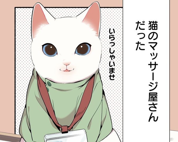 猫に踏みつけられたい人が続出!?「金なら払う」「言い値で払おう」SNS