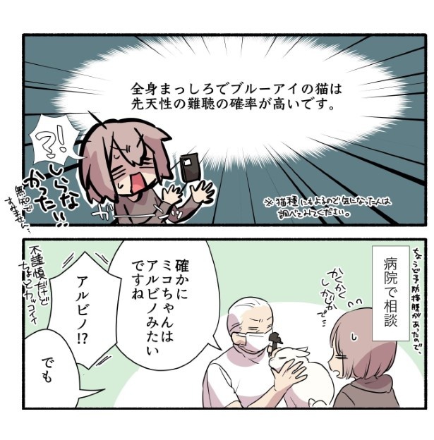 15話_白猫&青目の猫について知っておいてほしいことの話_P05