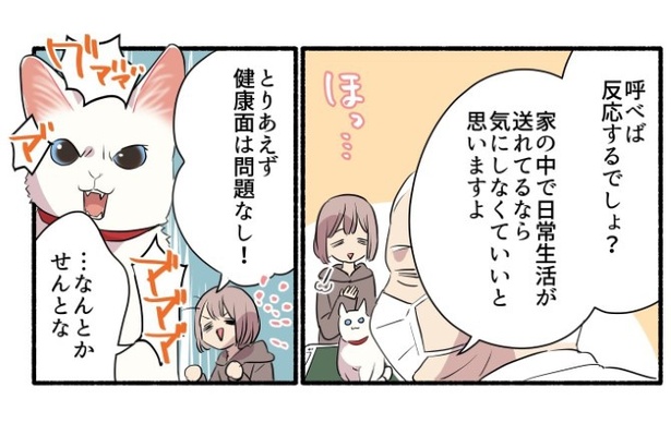 15話_白猫&青目の猫について知っておいてほしいことの話_P06