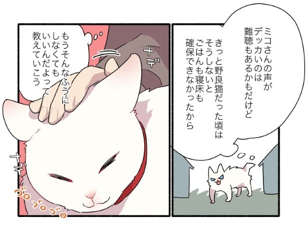 15話_白猫&青目の猫について知っておいてほしいことの話_P07