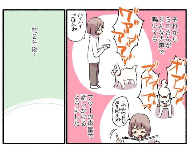 15話_白猫&青目の猫について知っておいてほしいことの話_P08