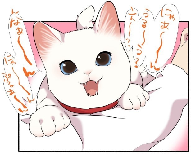15話_白猫&青目の猫について知っておいてほしいことの話_P09