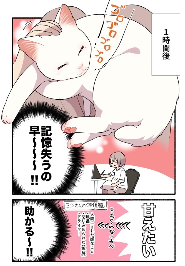 黒猫になった白猫を洗う話_P6