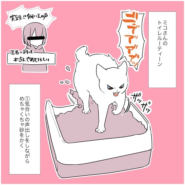 猫あるある_猫のトイレ中の神妙な顔が好きって話P01