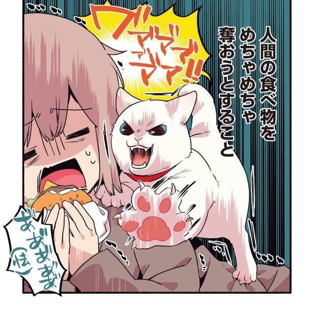 人間の食べ物を奪おうとする猫_p03