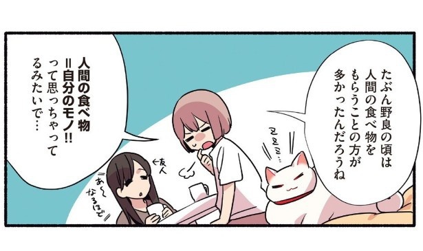 人間の食べ物を奪おうとする猫_p04