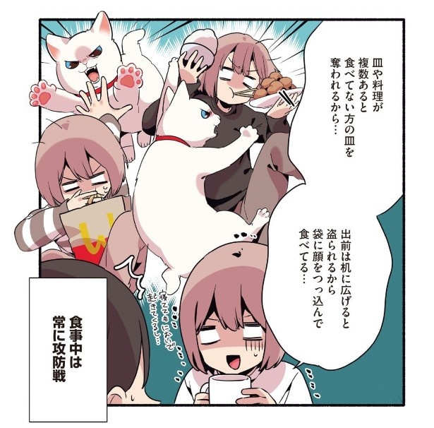 人間の食べ物を奪おうとする猫_p06