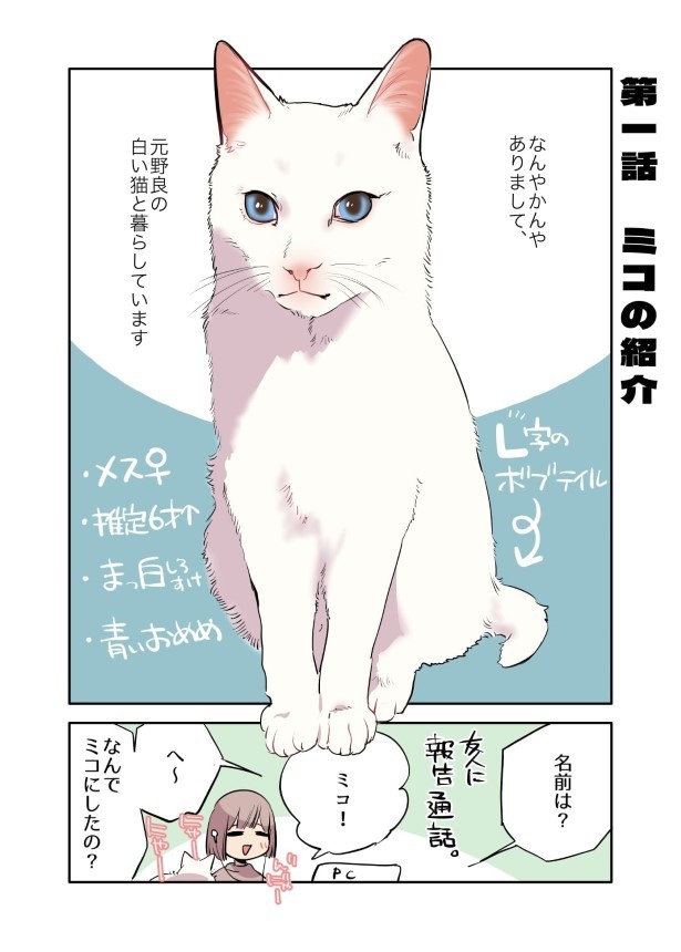 元ノラの愛猫、大興奮「うまい!!うまい!!うまい!!」心配で検査に行くも