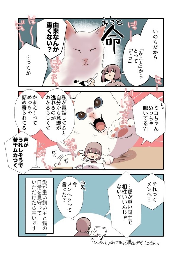 白い猫と暮らしている漫画1話P002