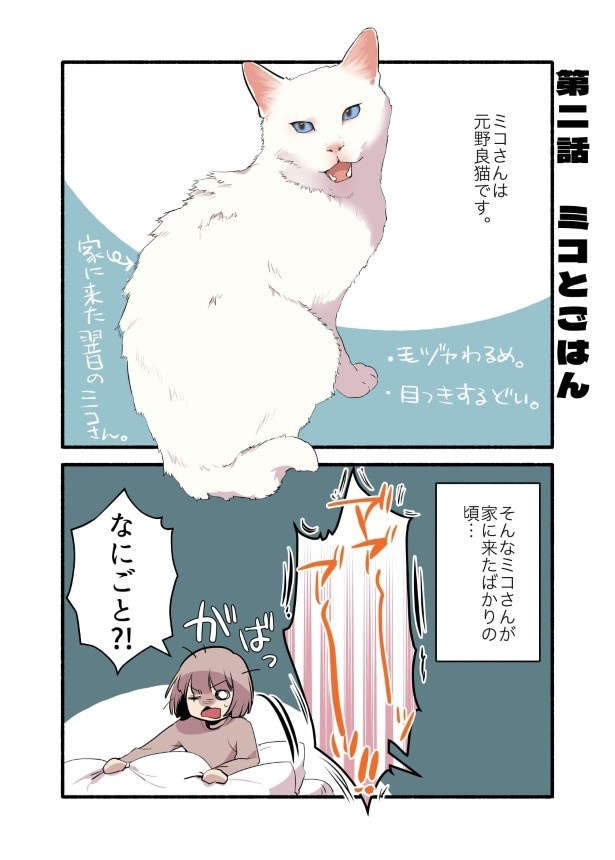 白い猫と暮らしている漫画2話P001
