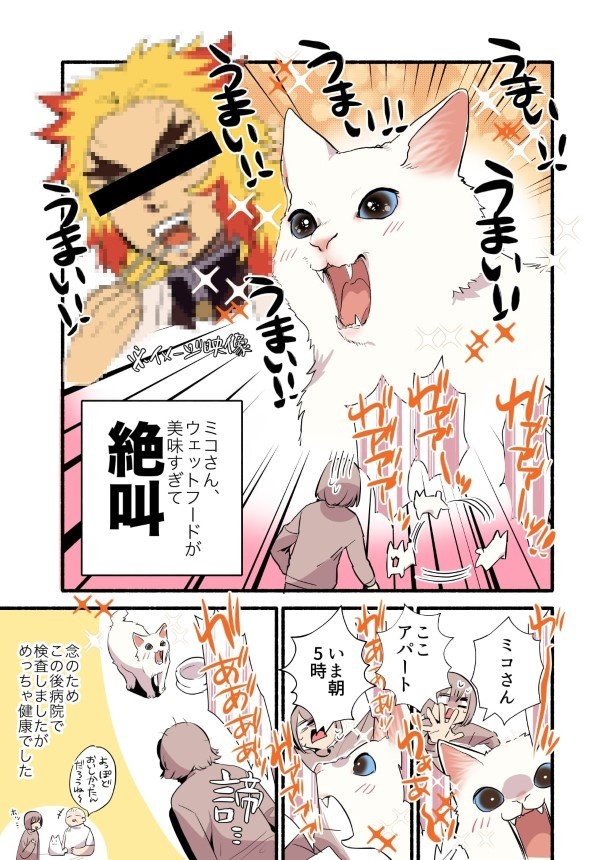 白い猫と暮らしている漫画2話P004