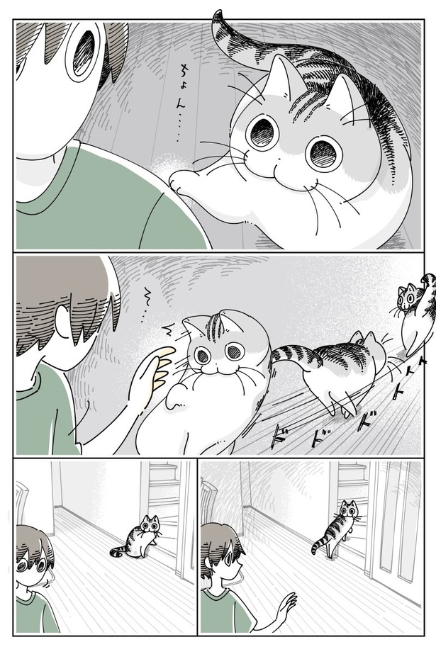 ネコ漫画】飼い主に付いて来てほしい猫!?かわいい誘惑に付いて行って 