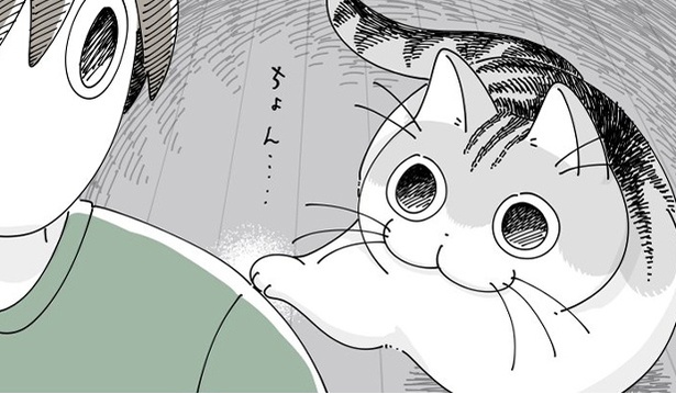 ネコ漫画】飼い主に付いて来てほしい猫!?かわいい誘惑に付いて行って 