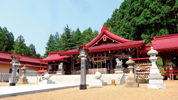 金運向上のご利益がある神社として知られる「金蛇水神社」