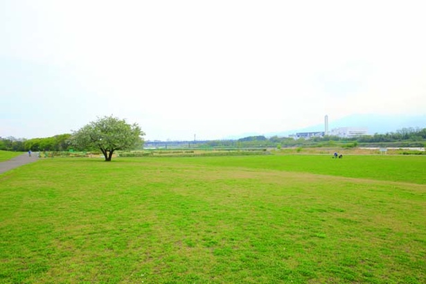 相模三川公園