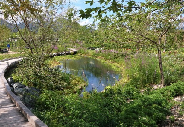絵画の中のような美しい空間！「エミール・ガレの庭」