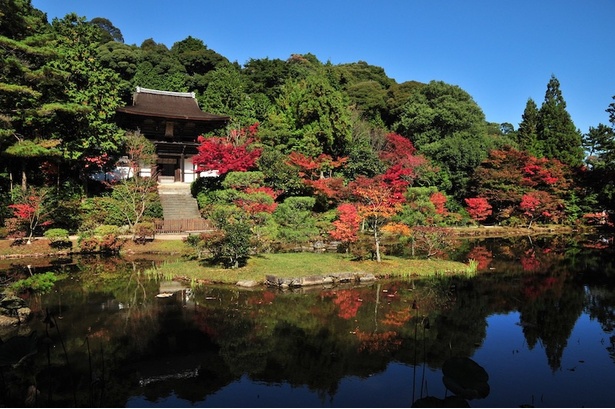 紅葉も美しい円成寺