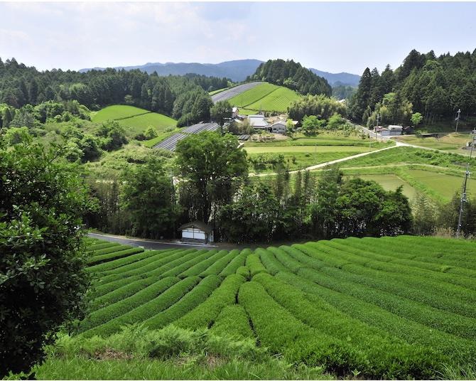 のどかな原風景が残る奈良市東部で「さとやま民泊」5周年記念キャンペーンを実施中！
