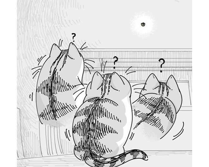 【ネコ漫画】小さな壁掛けフックが気になる猫!?その仕草が「かわいい！」とSNSで絶賛コメント続々