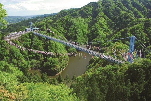 溪谷を流れる竜神川をせき止めるダムの上にかかる竜神大吊橋。空には約1000 匹のコイが泳ぐ