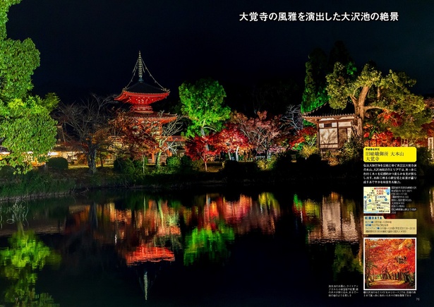旧嵯峨御所 大本山 大覚寺／放生池の水面にライトアップされた心経宝塔や紅葉、緑の木々が映り込み、まるで一枚の絵のような美しさ