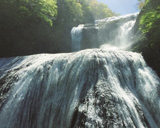 緑におおわれた美しい段瀑に息をのむ！「袋田の滝」