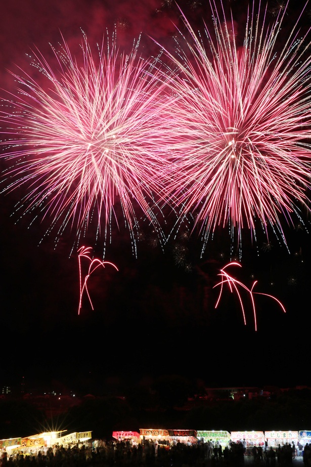 最大66％オフ！ 浅草 花やしき 第41回 隅田川花火大会 特別観覧席券