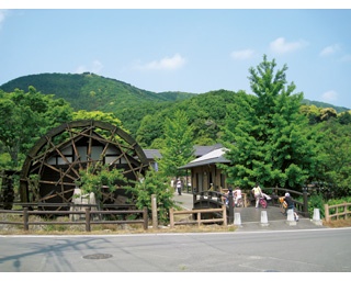小野小町の伝説に触れる「小町の館」でそば打ち体験！