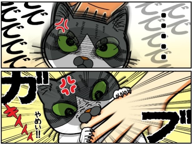 昔飼ってた猫_第5話「なで方も人それぞれ_P004