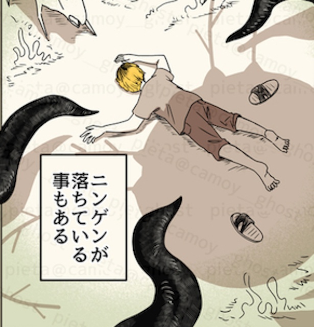 保護ニンゲン