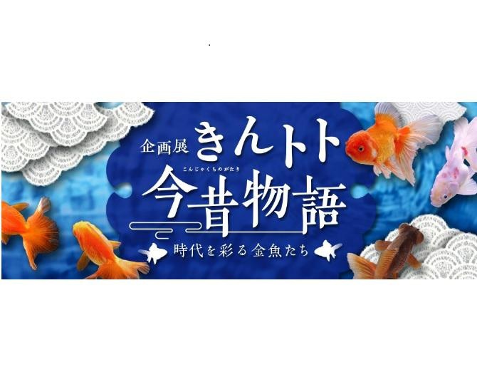 金魚と“岐阜の和”がコラボ！「アクア・トト ぎふ」で、金魚を紹介する企画展を12月10日までの期間限定で開催中