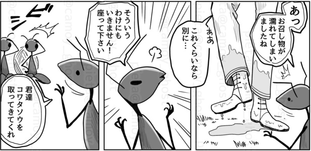 小さくても大きなもの(8)