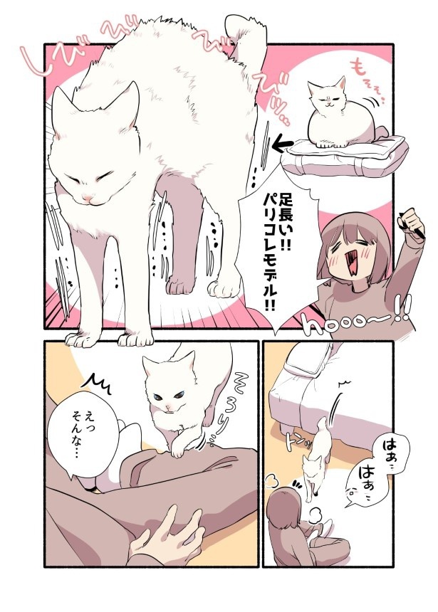 画像4 / 5＞「尊い存在にコールを入れたい」猫にコールすると…さすがお