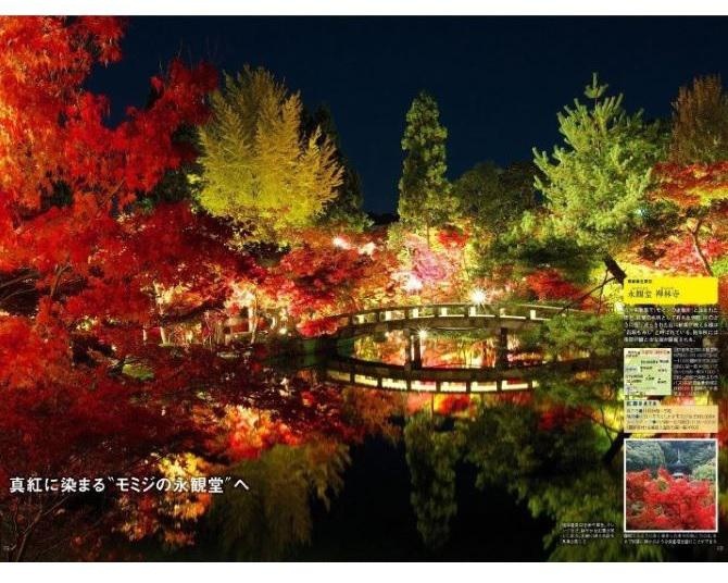 永観堂 禅林寺／極楽橋周辺を赤や黄色、オレンジなど、鮮やかな紅葉が美しく彩る。水鏡に映る色彩も見事な美しさ