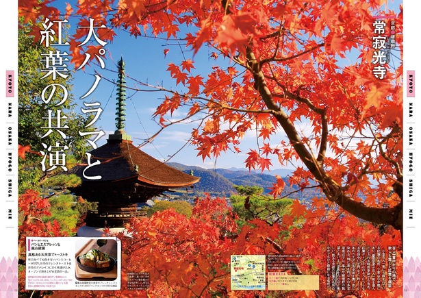 常寂光寺／嵯峨野の山々や町並みの遠景に、真っ赤に染まった木々と檜皮葺きの多宝塔が美しい。急な石段を上りきった人だけが見られる絶景だ