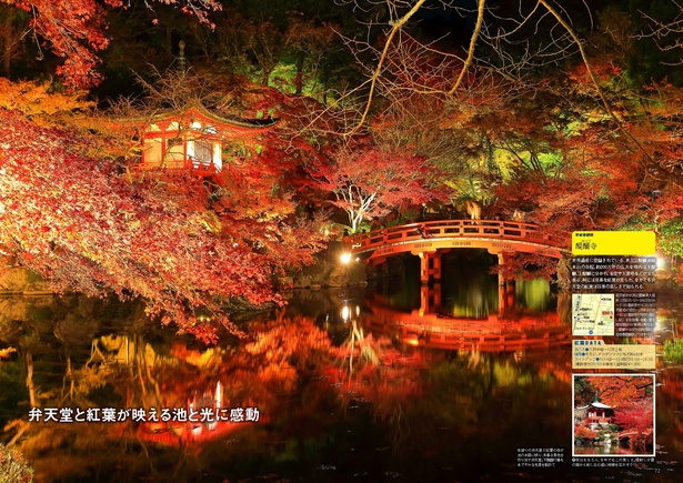 醍醐寺／朱塗りの弁天堂と紅葉の赤が池の水面に映り、見事な景色を作り出す弁天堂。下醍醐で最もあでやかな光景を眺めて