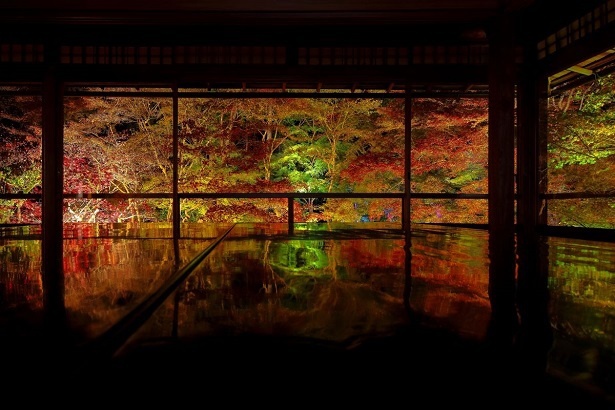 「そうだ 京都、行こう。」のプロモーションのひとつとして、SNSで人気な瑠璃光院、リフレクションが美しい嵐山祐斎亭で夜間ライトアップ貸切見学も実施