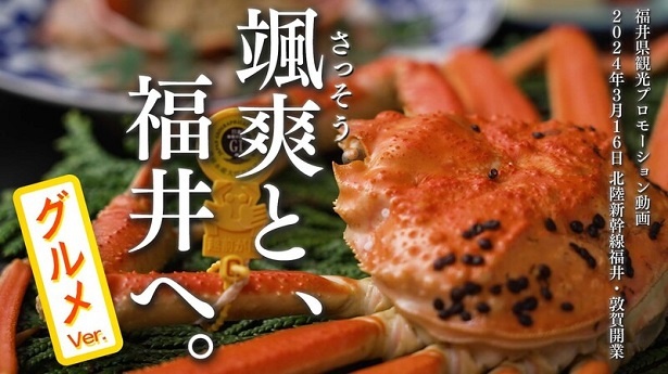 【写真】福井には冬の味覚の王様「越前がに」を筆頭に「越前おろしそば」など魅力的なグルメがそろう